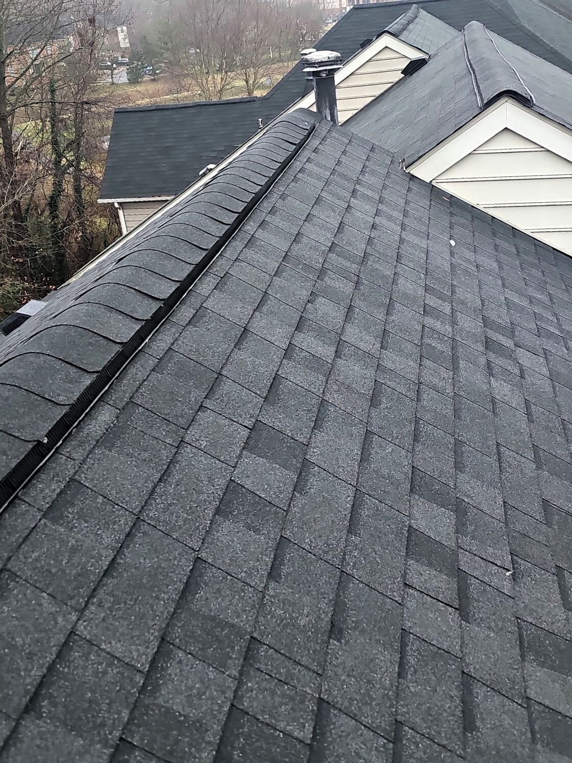 DIY vs. Professional Repair: Fixing Asphalt Roof Leaks